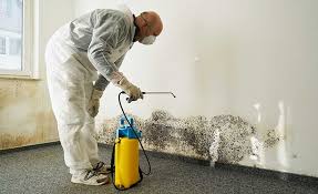 Atkinson, NE Mold Removal Services Company